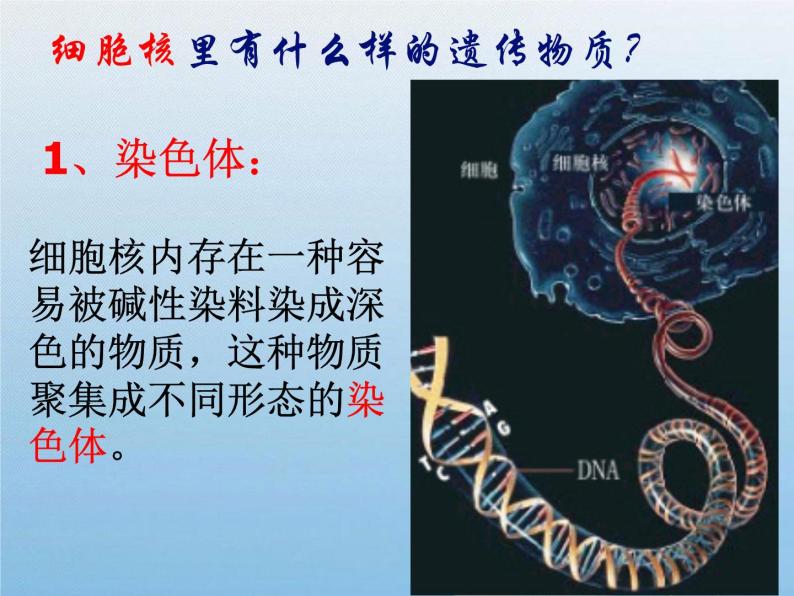 华东师大版科学九年级下册 第五章 第一节 生物的遗传 课件08