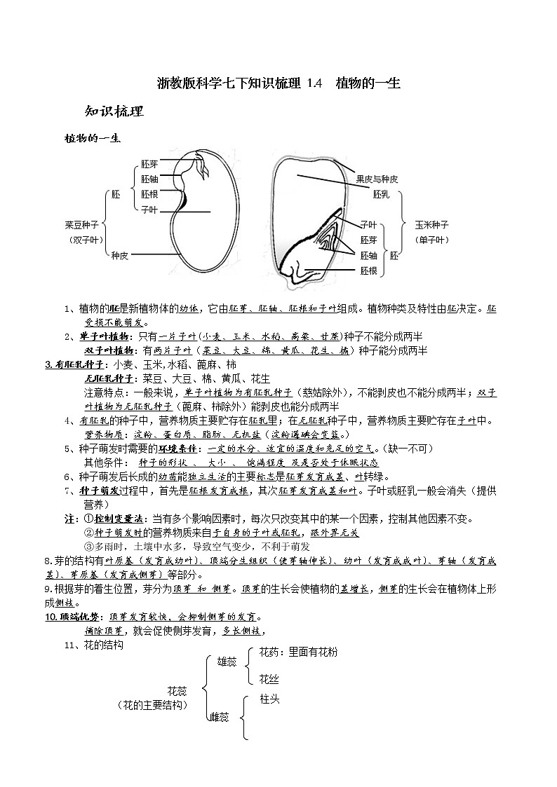 浙教版科学七下知识梳理 1.4  植物的一生01