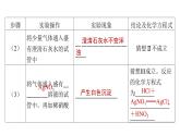2023年广东省中考化学专题强化四---科学探究题课件PPT