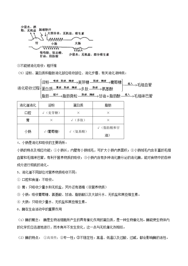 第三讲：第一节、食物的消化和吸收-中考科学一轮复习讲练教案（生物篇和地球、宇宙和空间科学）03