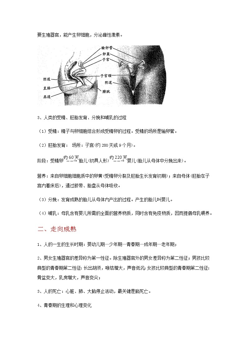 第六讲：第一节、动物和人的生殖与发育-中考科学一轮复习讲练教案（生物篇和地球、宇宙和空间科学）02