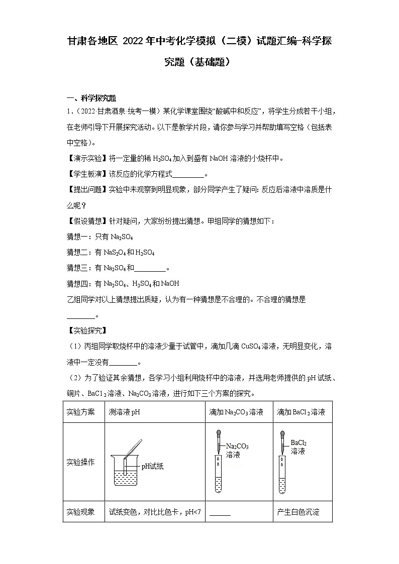 甘肃各地区2022年中考化学模拟（二模）试题汇编-科学探究题（基础题）第1页