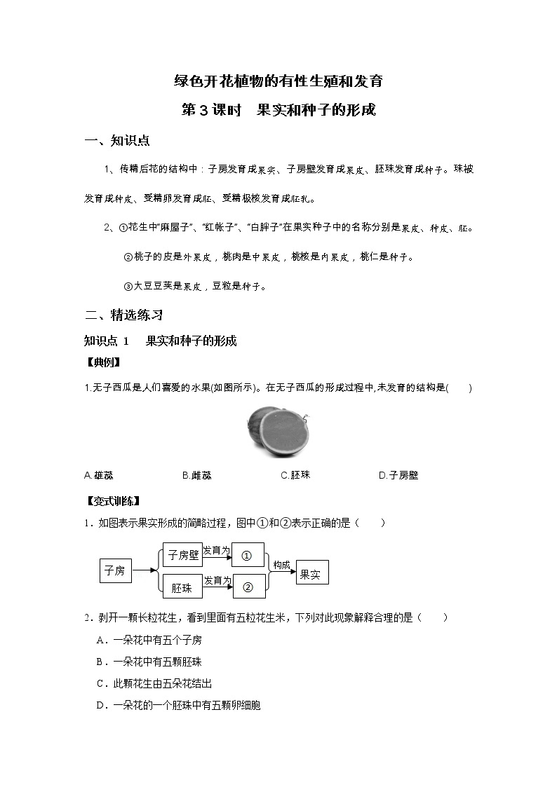 7.1 绿色开花植物的有性生殖和发育  第3课时　果实和种子的形成-七年级科学下册华师大版精讲练01