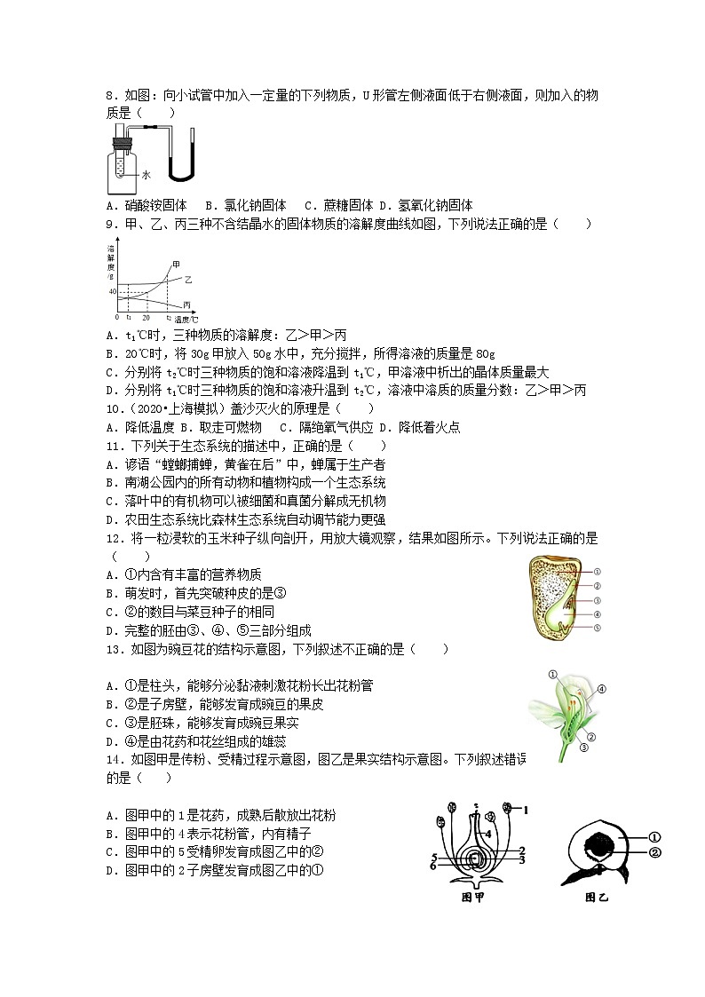 华师大版科学七年级下科学期末模拟试卷一02
