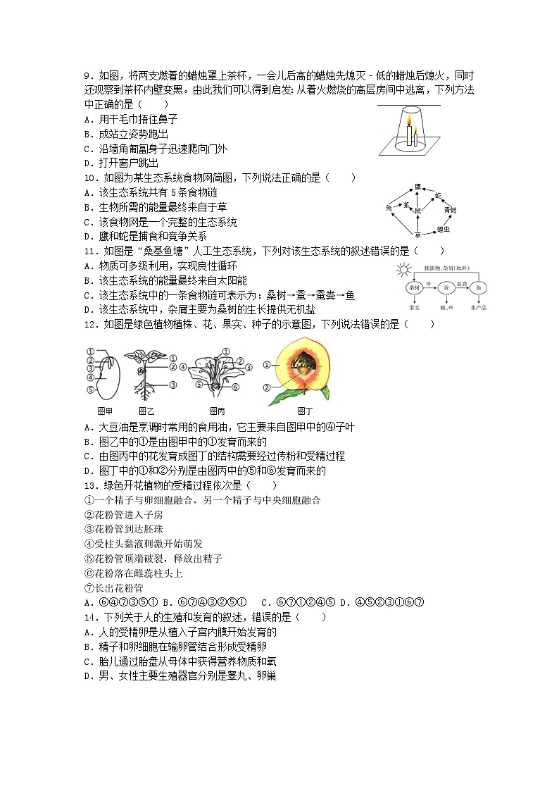 华师大版七年级下科学期末模拟试卷二第2页