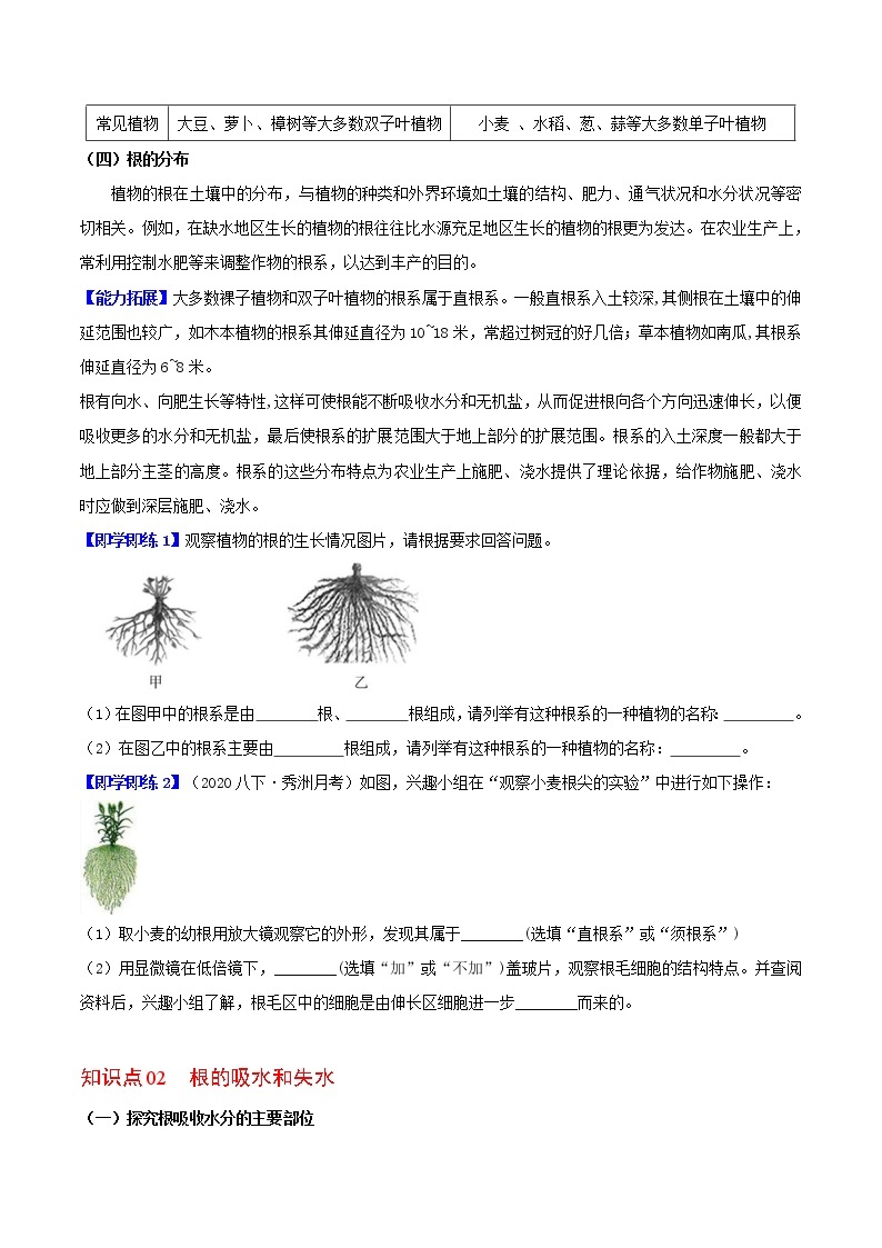 第3节 植物的根与物质吸收-八年级科学下册同步精品讲义（浙教版）02