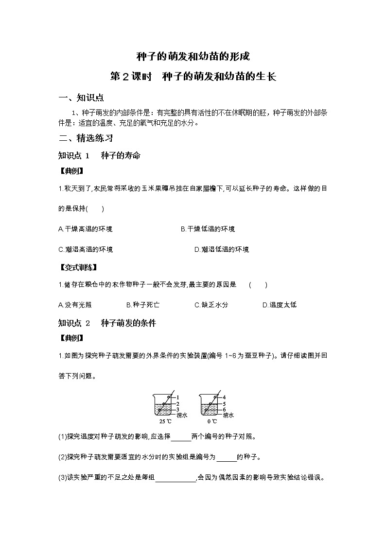 7.2 种子的萌发和幼苗的形成  第2课时　种子的萌发和幼苗的生长-七年级科学下册华师大版精讲练01