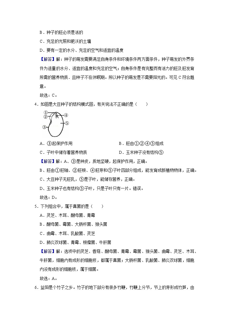 第七章 单元测试卷-七年级科学下册华师大版精讲练02