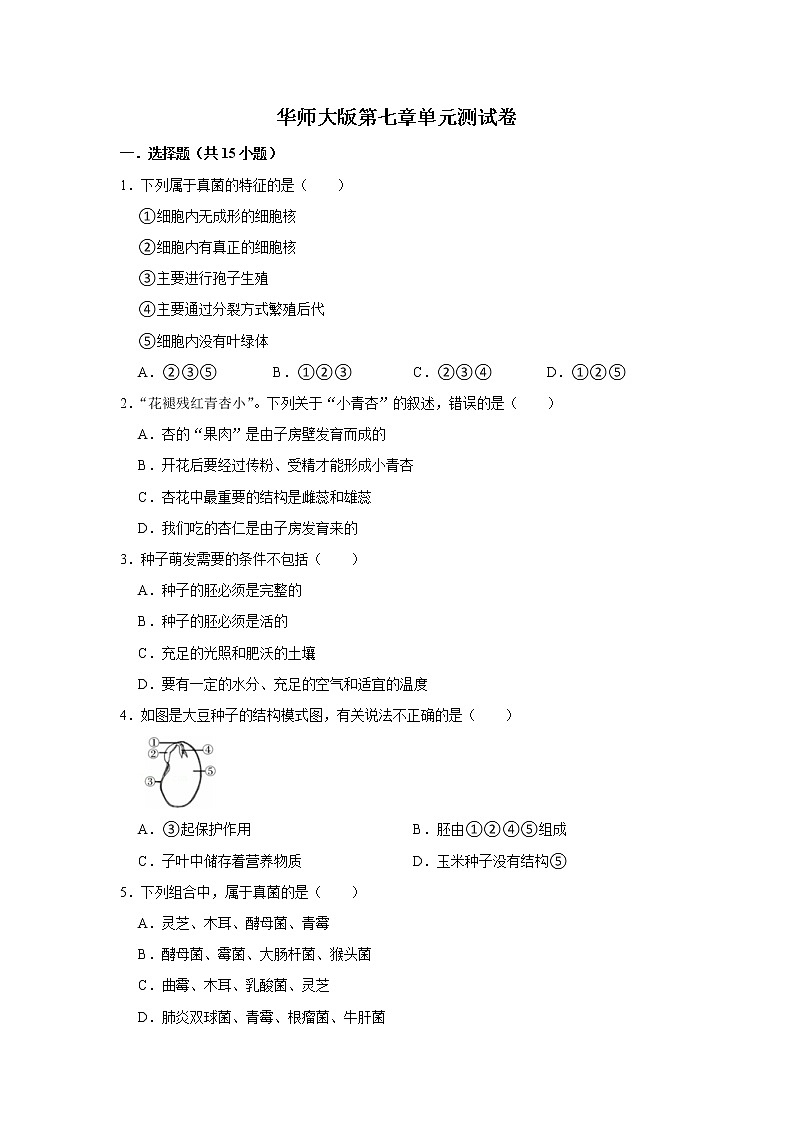 第七章 单元测试卷-七年级科学下册华师大版精讲练01