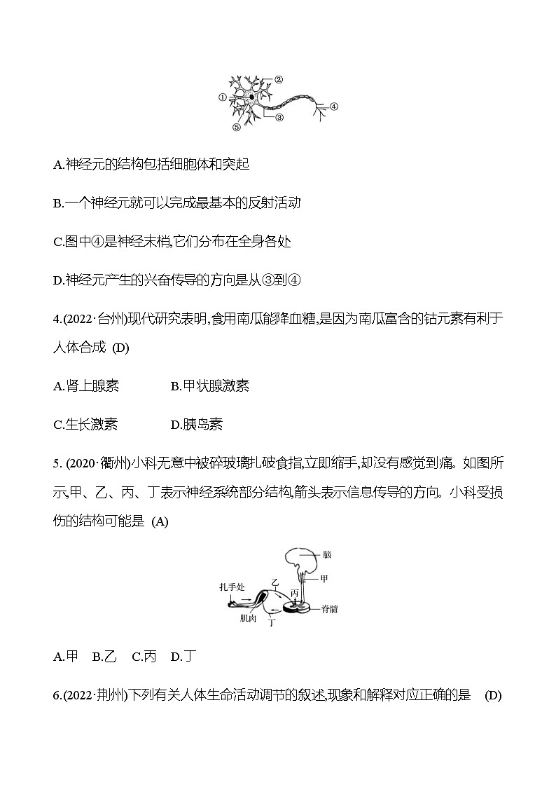 备战2023 初中科学 一轮复习 第8讲　生命活动的调节 提分作业（教师版）第2页