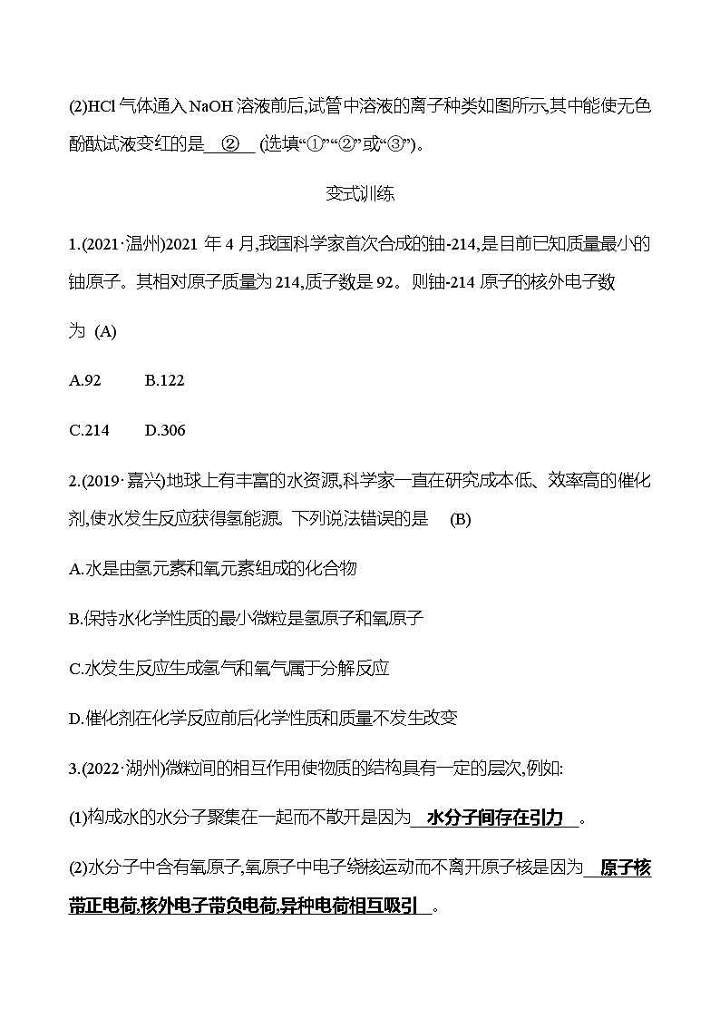 2023年浙江省初中科学 一轮复习 第三部分  第29讲　构成物质的粒子　元素 专题练习02