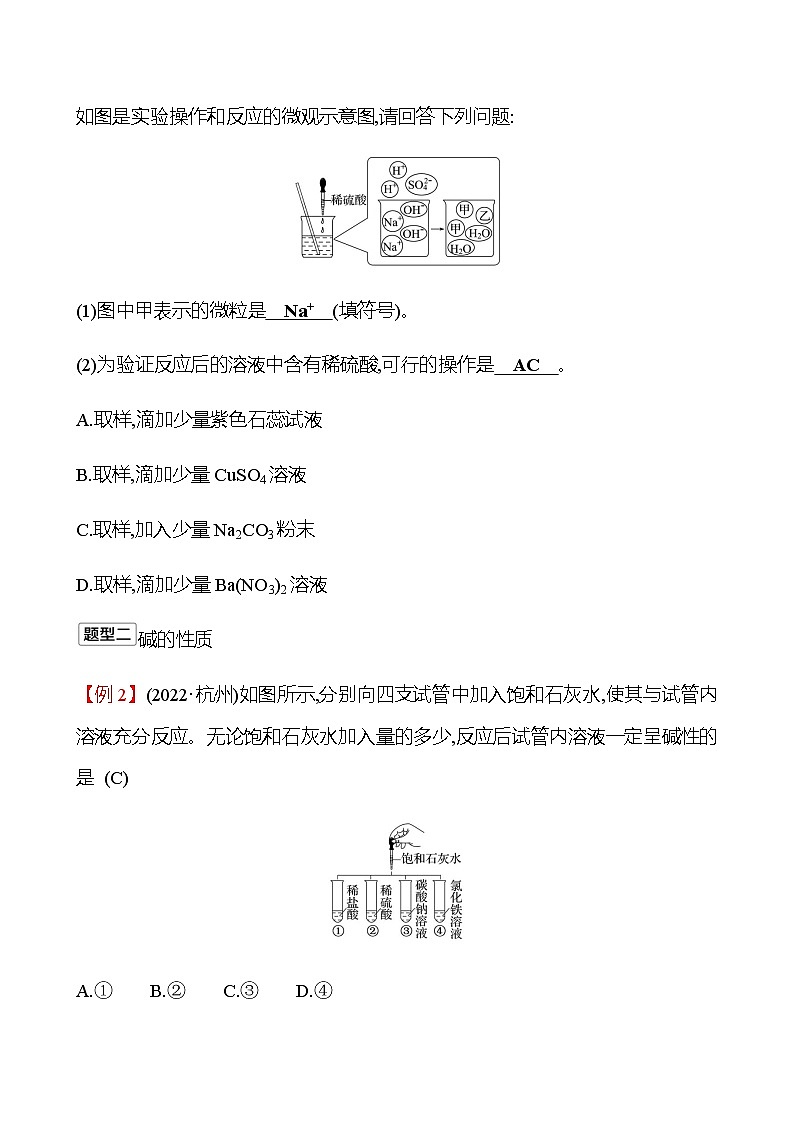 2023年浙江省初中科学 一轮复习 第三部分  第36讲　酸和碱 专题练习（教师版） 第2页