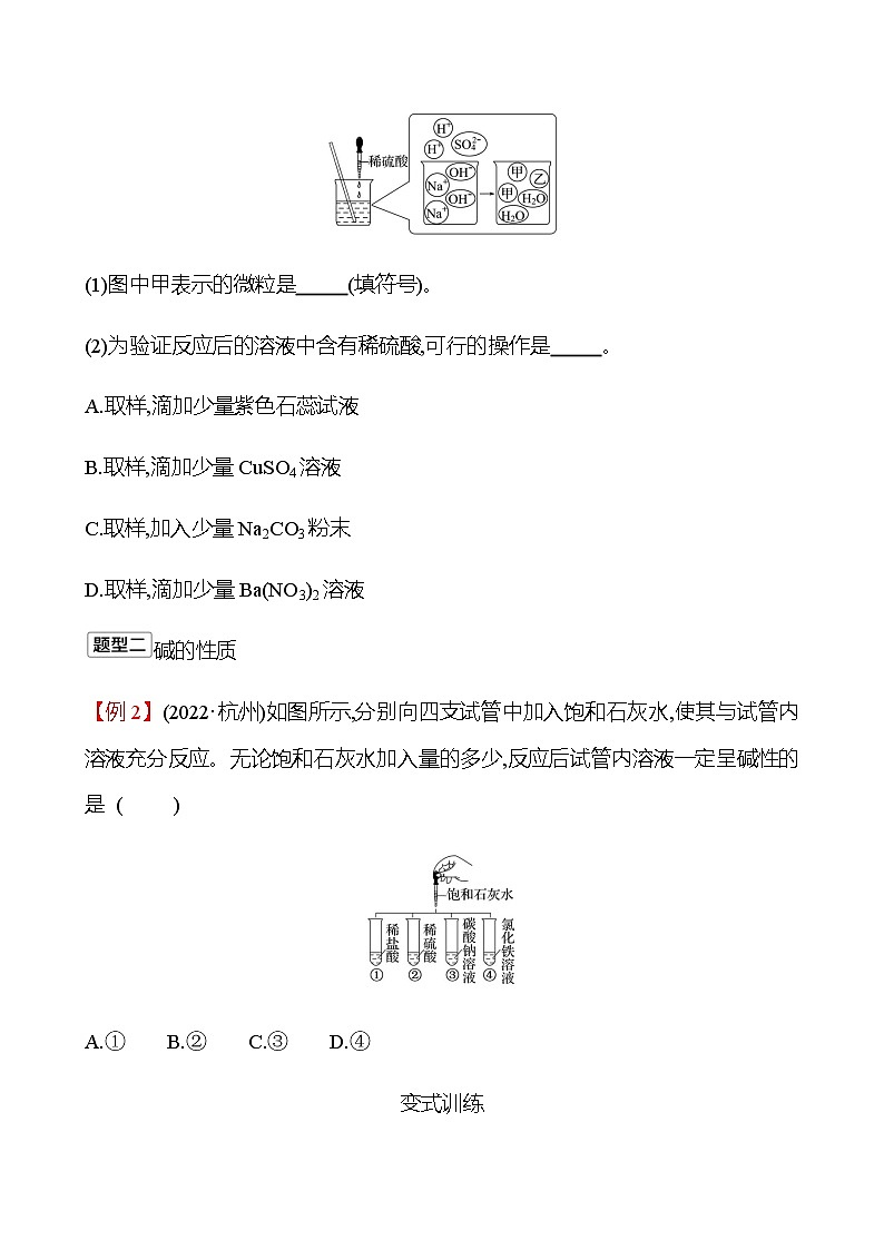 2023年浙江省初中科学 一轮复习 第三部分  第36讲　酸和碱 专题练习（学生版） 第2页