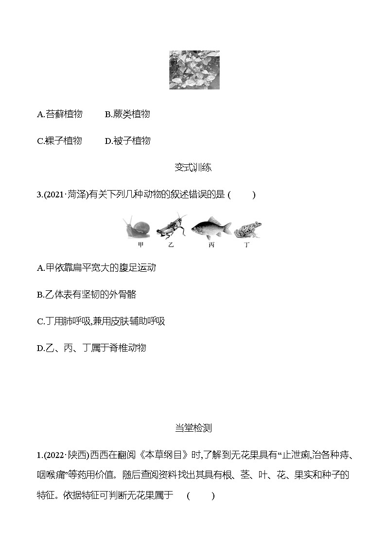 2023年浙江省初中科学 一轮复习 第一部分  第1讲　多种多样的生物 专题练习（学生版） 第3页