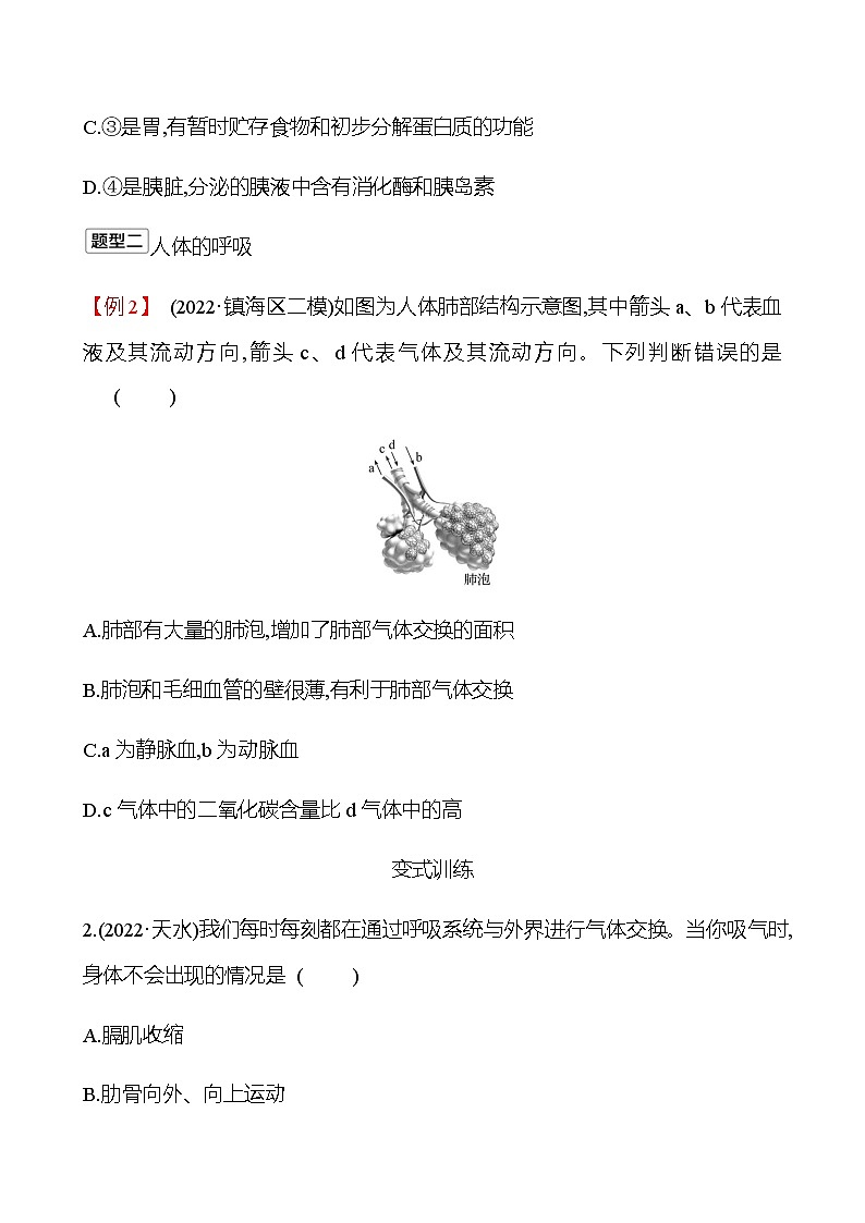 2023年浙江省初中科学 一轮复习 第一部分  第6讲　人体的物质和能量转换(1) 专题练习（学生版） 第2页