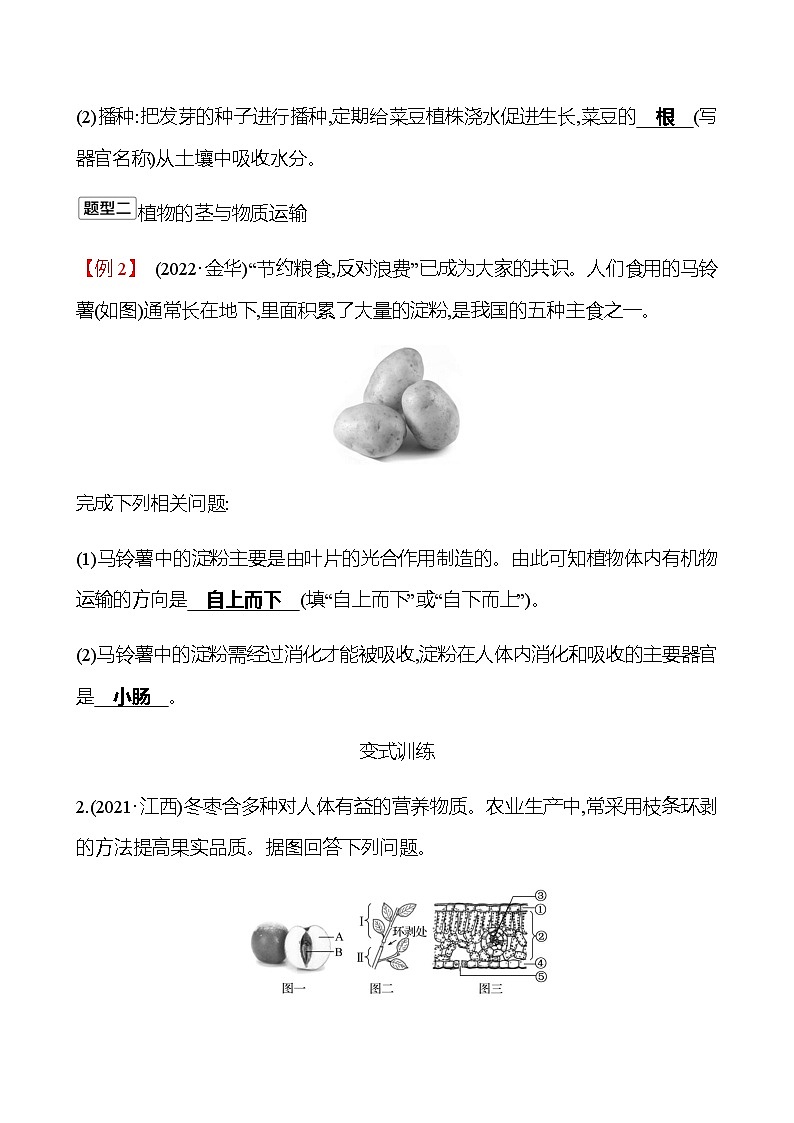 2023年浙江省初中科学 一轮复习 第一部分  第4讲　绿色植物的新陈代谢(1) 专题练习（教师版） 第2页