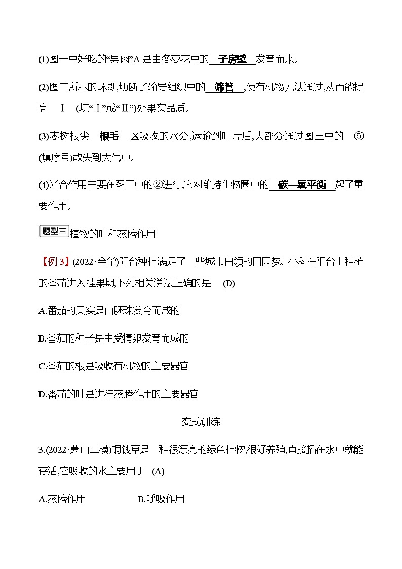 2023年浙江省初中科学 一轮复习 第一部分  第4讲　绿色植物的新陈代谢(1) 专题练习（教师版） 第3页