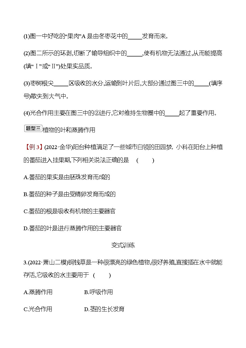 2023年浙江省初中科学 一轮复习 第一部分  第4讲　绿色植物的新陈代谢(1) 专题练习（学生版） 第3页