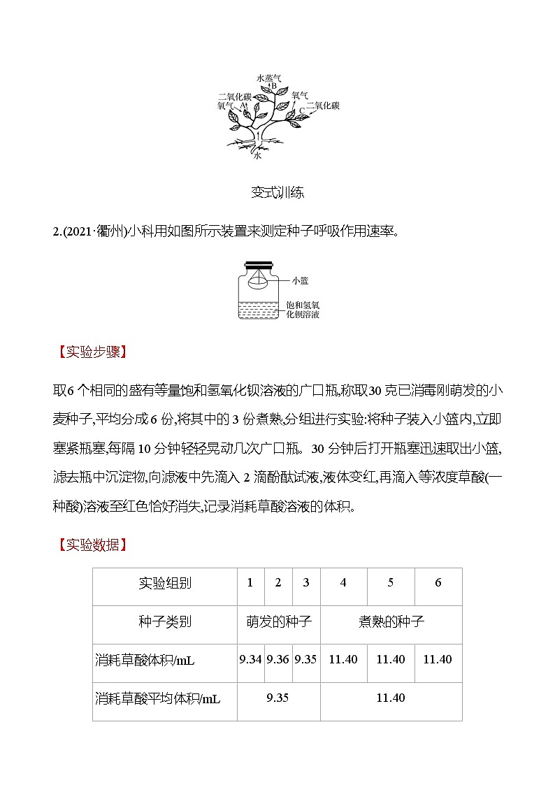 2023年浙江省初中科学 一轮复习 第一部分  第5讲　绿色植物的新陈代谢(2) 专题练习（教师版） 第3页