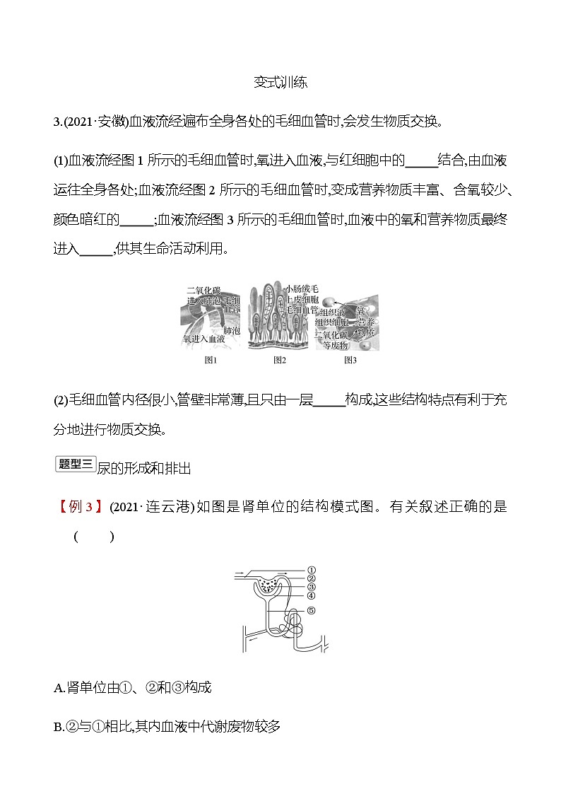 2023年浙江省初中科学 一轮复习 第一部分  第7讲　人体的物质和能量转换(2) 专题练习（学生版） 第3页