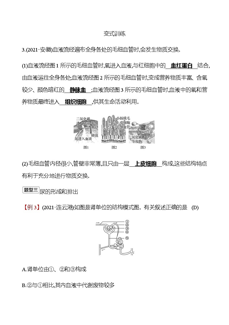 2023年浙江省初中科学 一轮复习 第一部分  第7讲　人体的物质和能量转换(2) 专题练习（教师版） 第3页