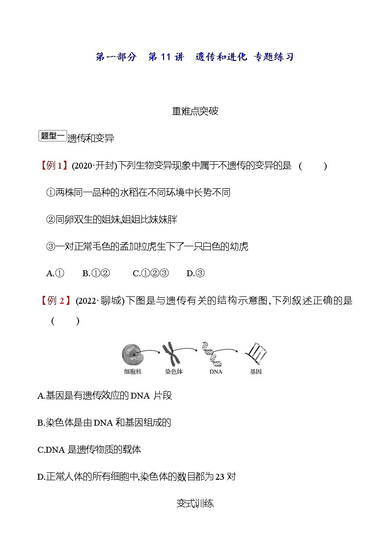 2023年浙江省初中科学 一轮复习 第一部分  第11讲　遗传和进化 专题练习01