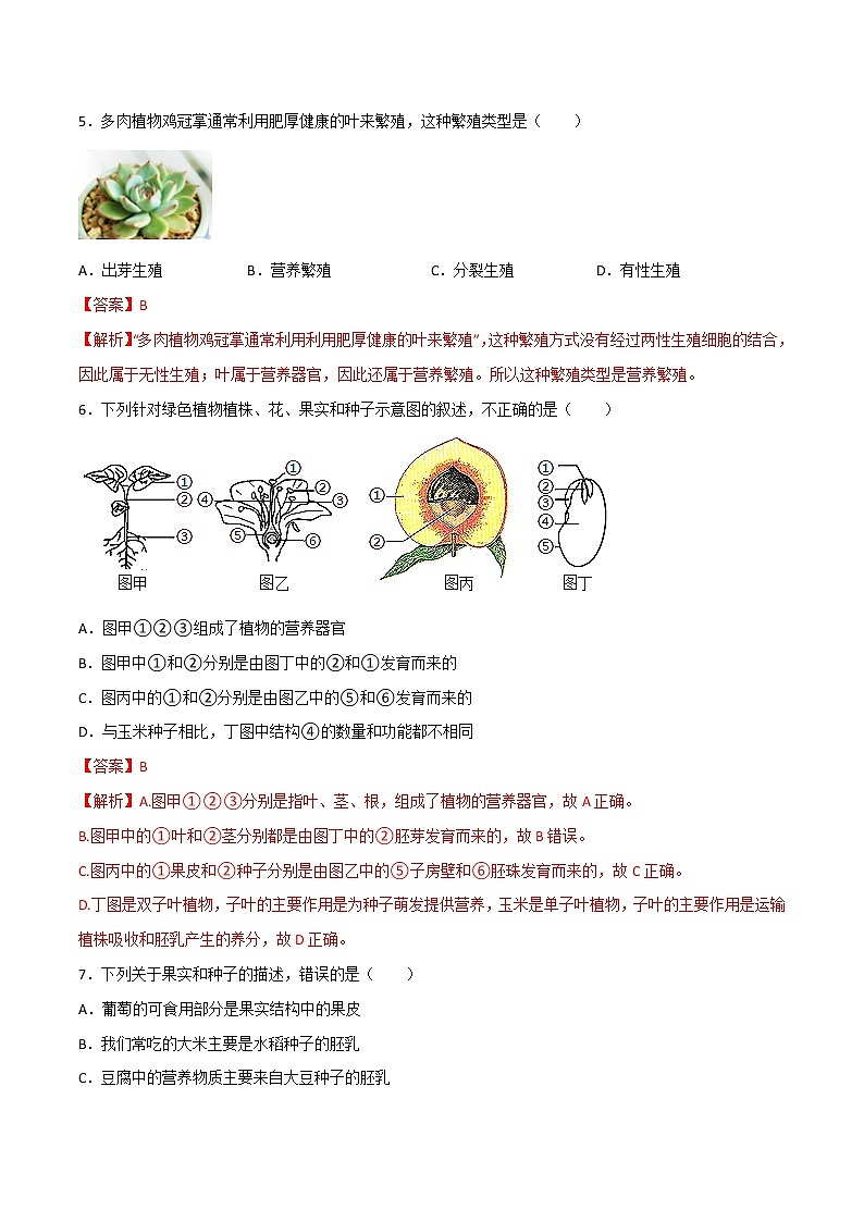 第01单元 代代相传的生命单元测试（培优卷）——2022-2023学年七年级下册科学单元复习卷（浙教版）03