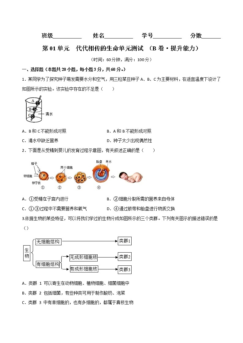 第01单元 代代相传的生命单元测试（培优卷）——2022-2023学年七年级下册科学单元复习卷（浙教版）01