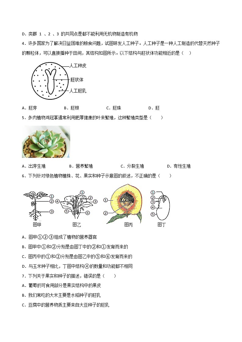 第01单元 代代相传的生命单元测试（培优卷）——2022-2023学年七年级下册科学单元复习卷（浙教版）02