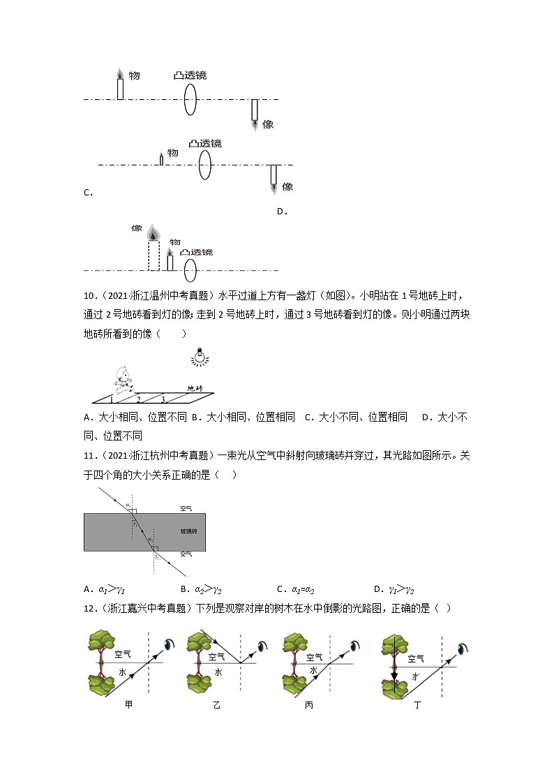 第02单元 对环境的察觉单元测试（培优卷）——2022-2023学年七年级下册科学单元复习卷（浙教版）03