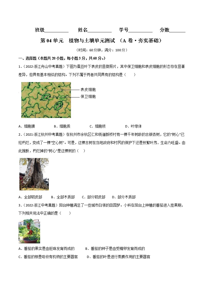 第04单元 植物与土壤单元测试（基础卷）——2022-2023学年八年级下册科学单元复习卷（浙教版）（原卷版+解析版）01