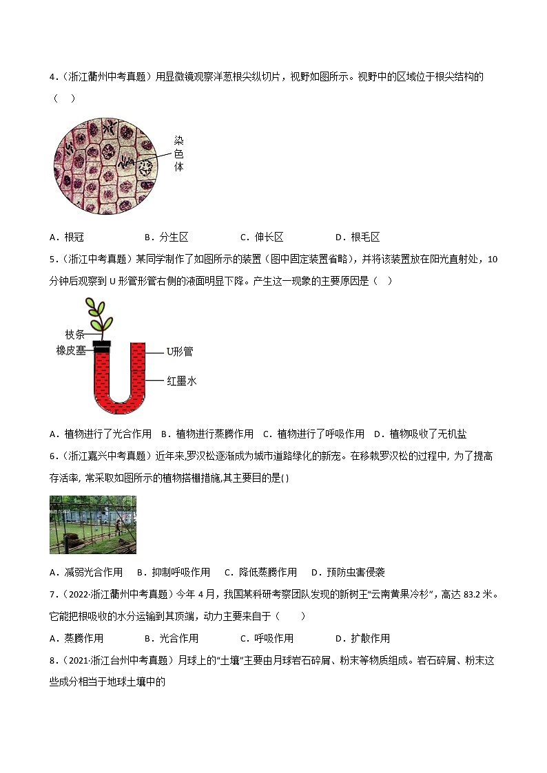 第04单元 植物与土壤单元测试（基础卷）——2022-2023学年八年级下册科学单元复习卷（浙教版）（原卷版+解析版）02