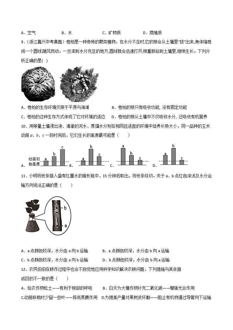 第04单元 植物与土壤单元测试（基础卷）——2022-2023学年八年级下册科学单元复习卷（浙教版）（原卷版+解析版）03