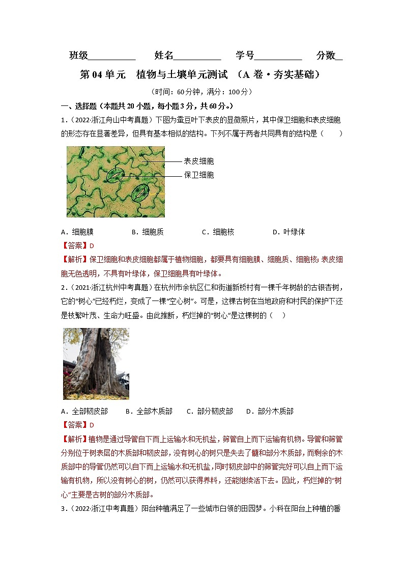 第04单元 植物与土壤单元测试（基础卷）——2022-2023学年八年级下册科学单元复习卷（浙教版）（原卷版+解析版）01