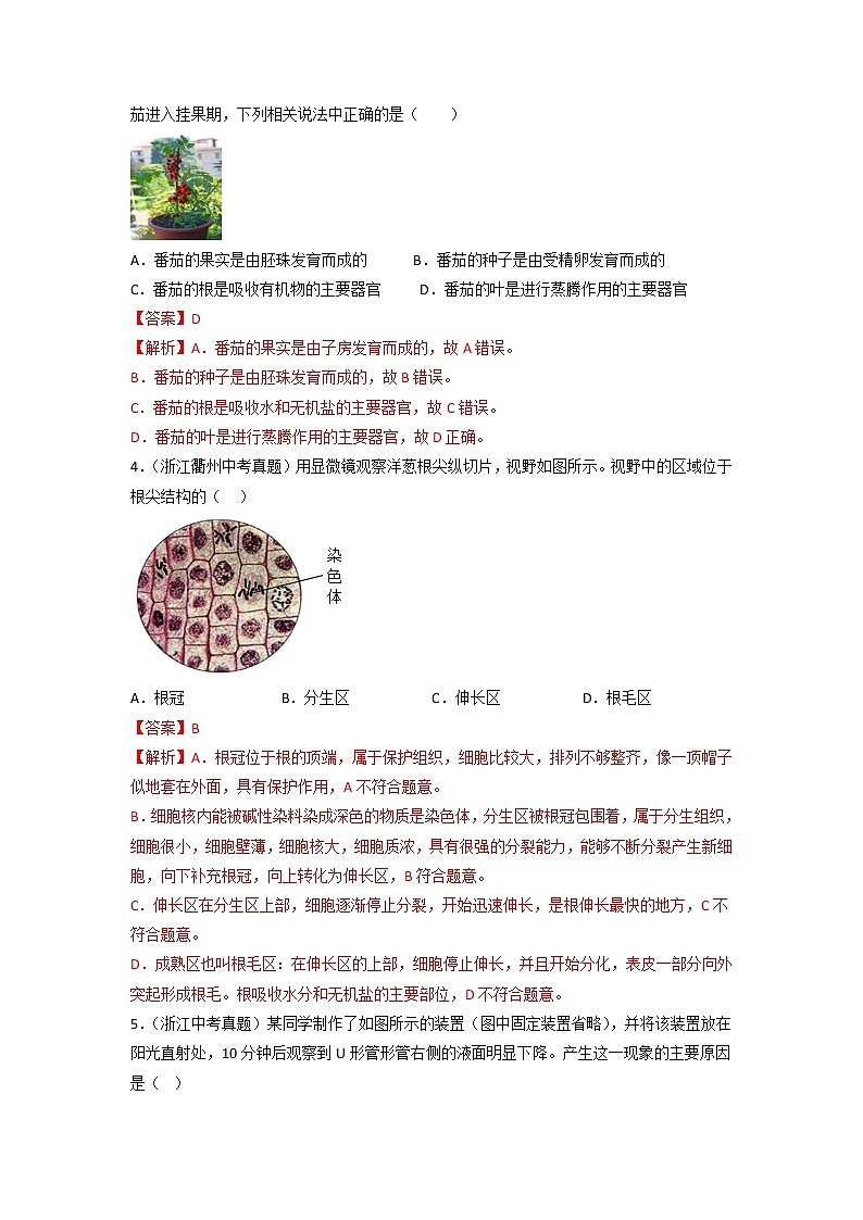 第04单元 植物与土壤单元测试（基础卷）——2022-2023学年八年级下册科学单元复习卷（浙教版）（原卷版+解析版）02