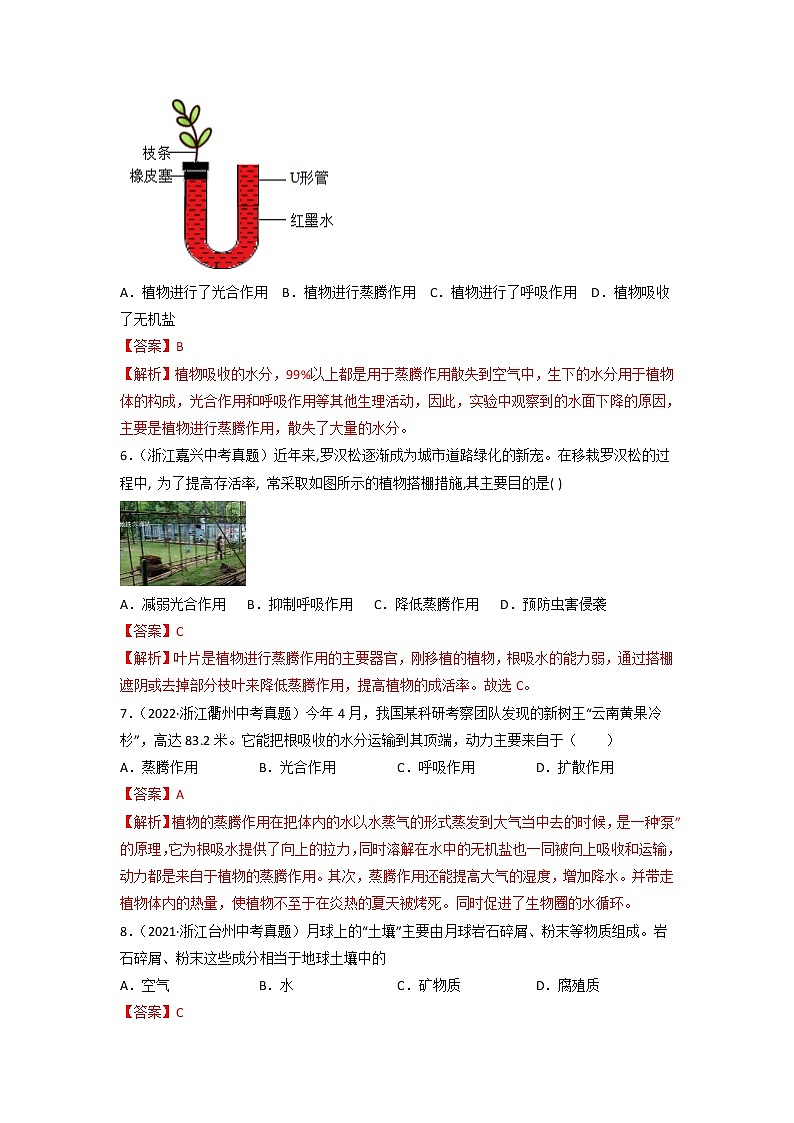 第04单元 植物与土壤单元测试（基础卷）——2022-2023学年八年级下册科学单元复习卷（浙教版）（原卷版+解析版）03