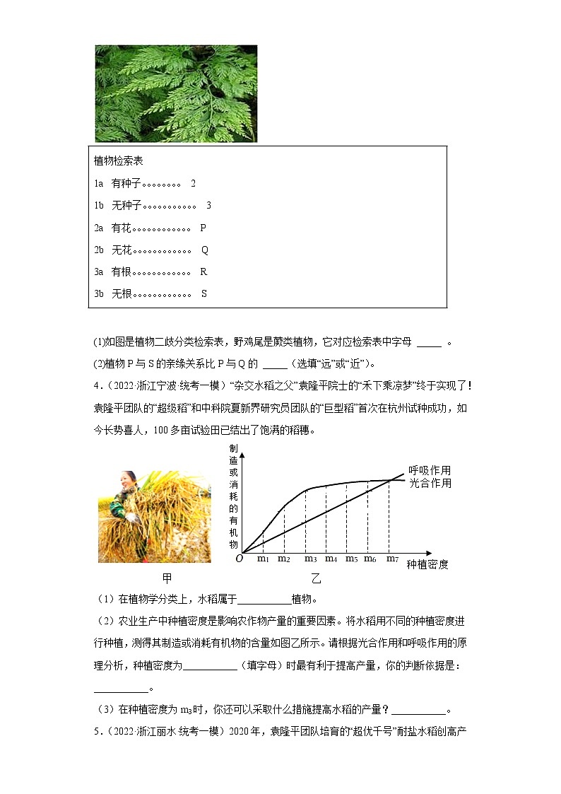 浙江省2022年中考科学模拟题汇编-05观察多种多样的生物（简答题）第2页