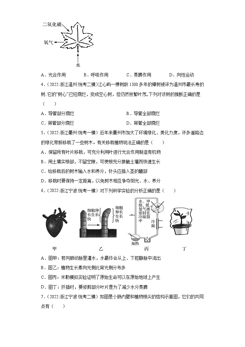 浙江省2022年中考科学模拟题汇编-08绿色植物的新陈代谢（选择题）第2页