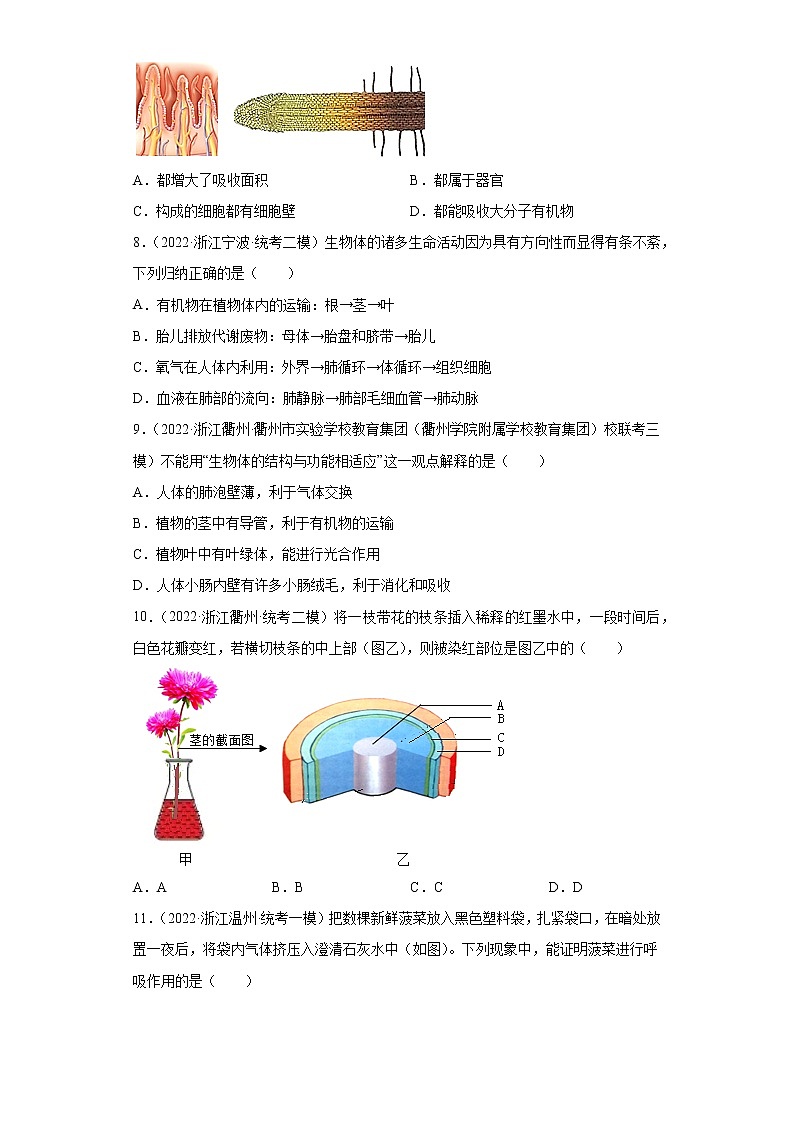 浙江省2022年中考科学模拟题汇编-08绿色植物的新陈代谢（选择题）第3页