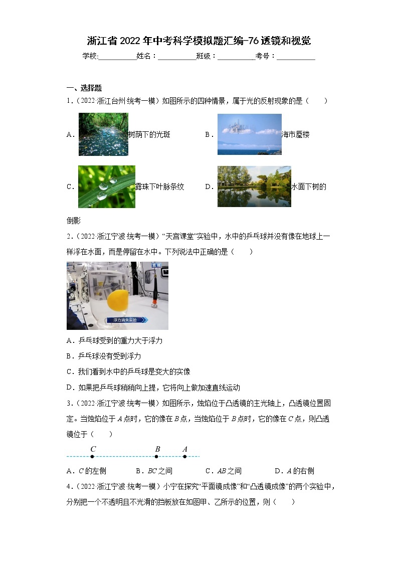 浙江省2022年中考科学模拟题汇编-76透镜和视觉01