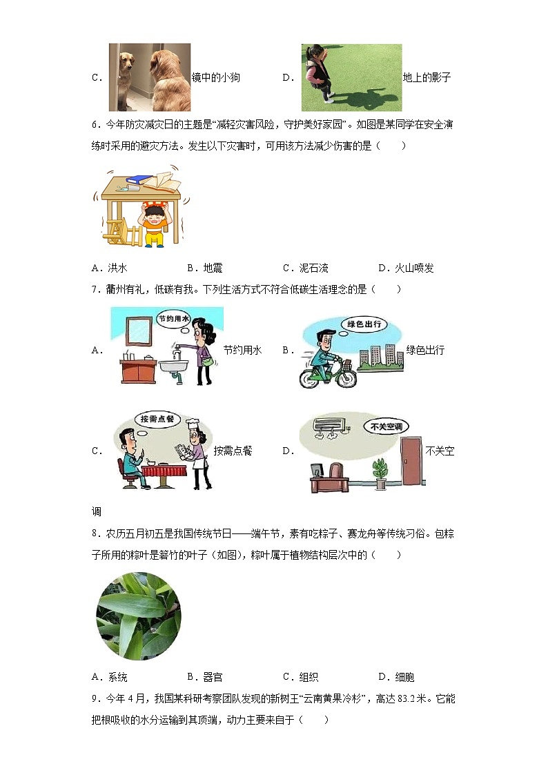 2022年浙江省衢州市中考科学真题（原卷版+解析）02
