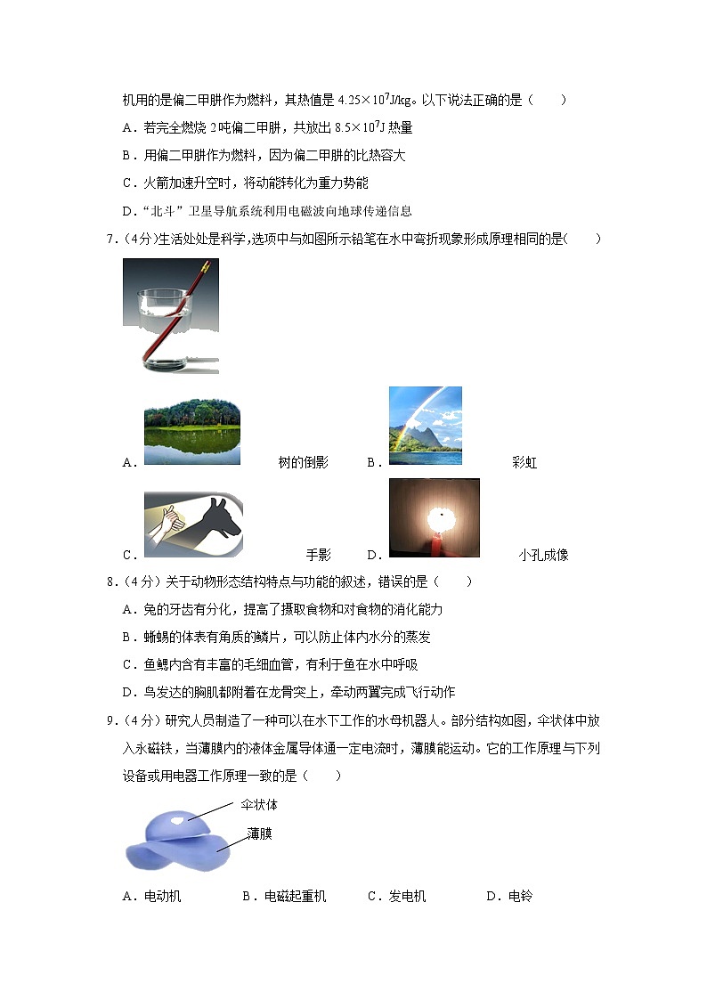 浙江省宁波市镇海区2023年初中毕业学业水平科学模拟卷（含答案）第3页