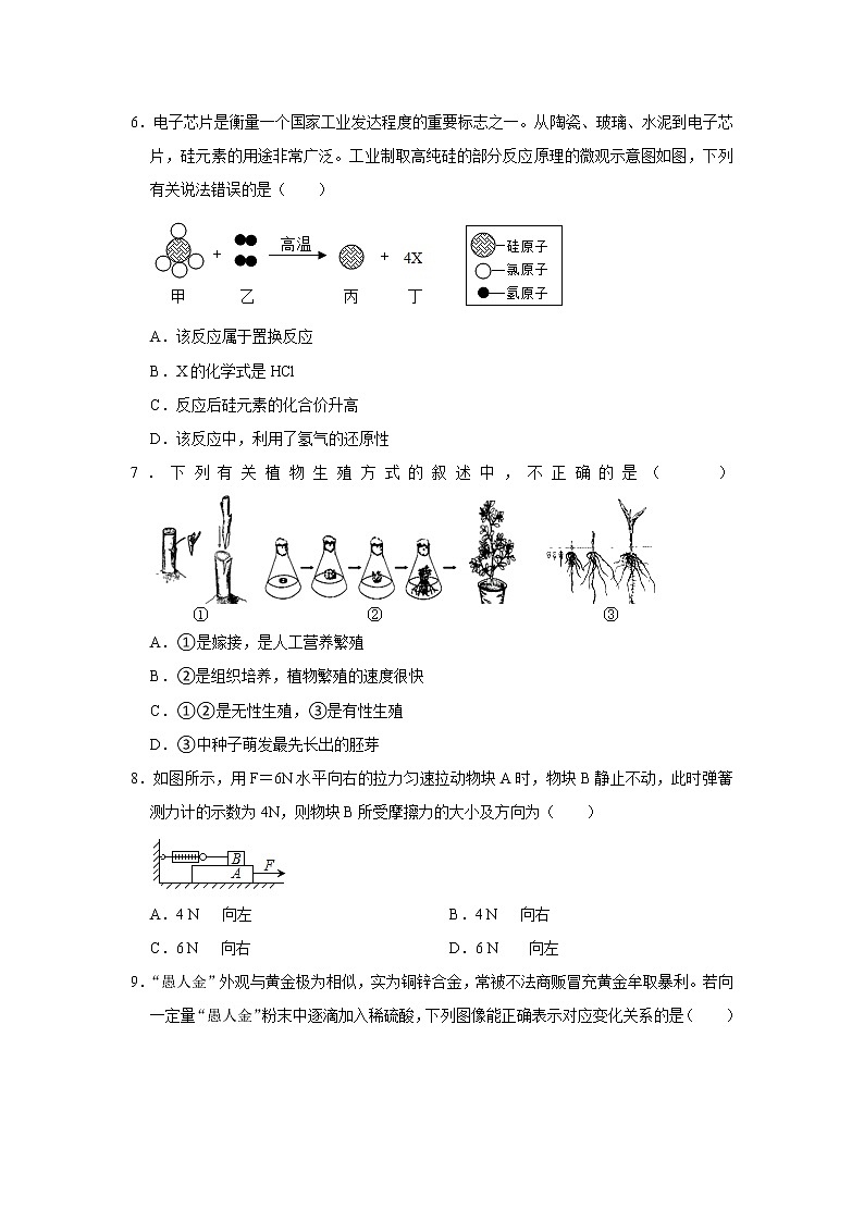 浙江省宁波市镇海区2023年初中科学第一次适应性模拟卷（含答案）第2页