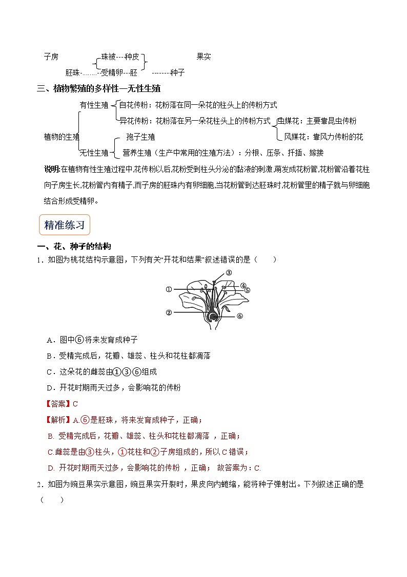 2022-2023年浙教版科学七年级下册专题复习精讲精练：专题02 植物和微生物的繁殖02