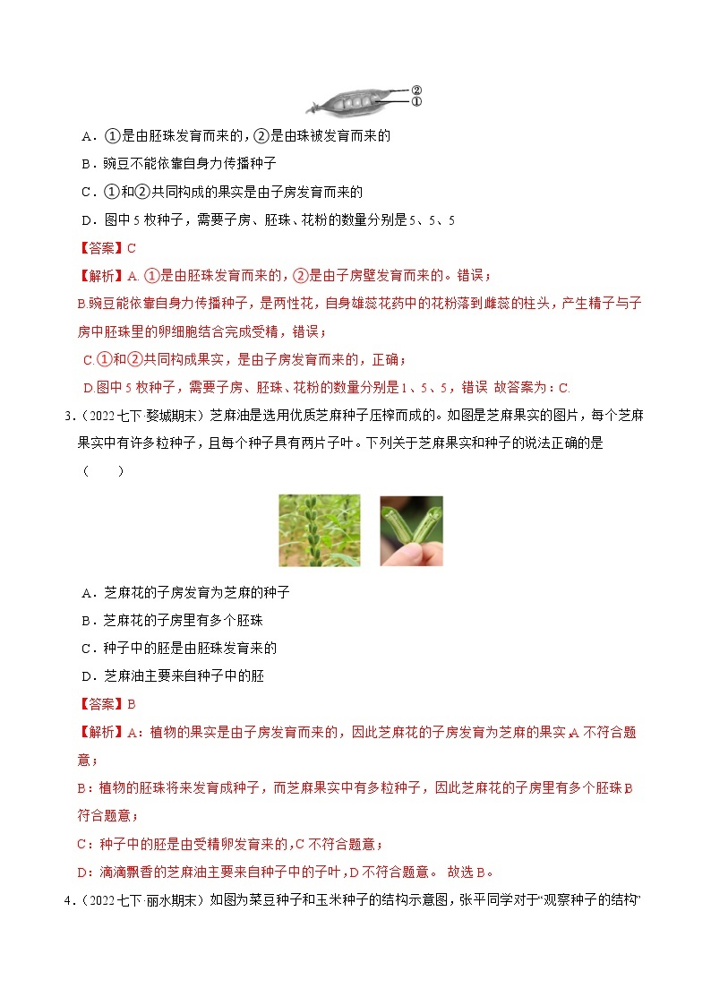 2022-2023年浙教版科学七年级下册专题复习精讲精练：专题02 植物和微生物的繁殖03