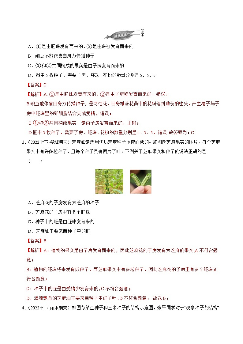 2022-2023年浙教版科学七年级下册专题复习精讲精练：专题02 植物和微生物的繁殖03