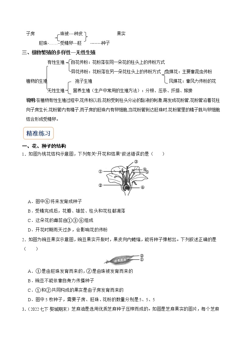 2022-2023年浙教版科学七年级下册专题复习精讲精练：专题02 植物和微生物的繁殖02