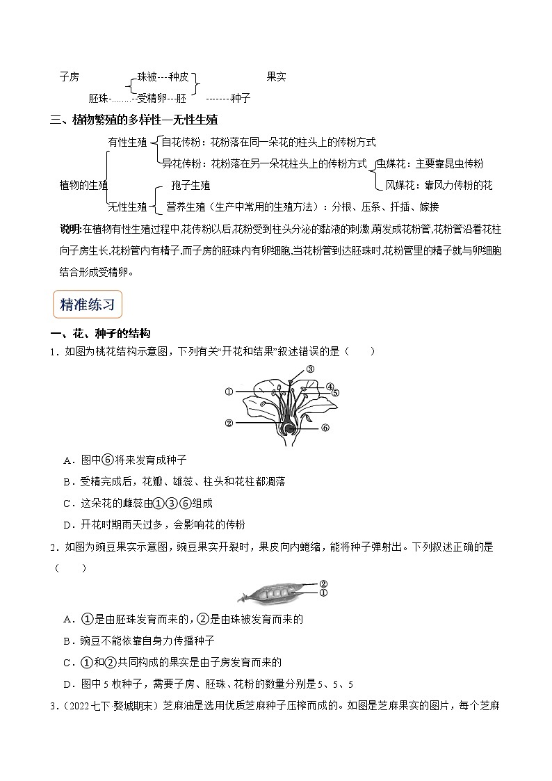 2022-2023年浙教版科学七年级下册专题复习精讲精练：专题02 植物和微生物的繁殖02