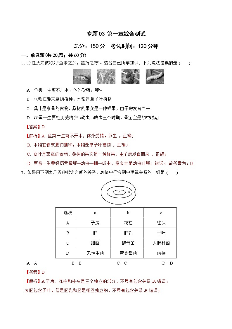 2022-2023年浙教版科学七年级下册专题复习精讲精练：专题03 第一章综合测试01