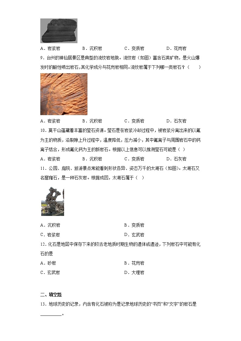 2023年浙江省中考科学专题复习 认识几种常见的岩石（含解析）第2页